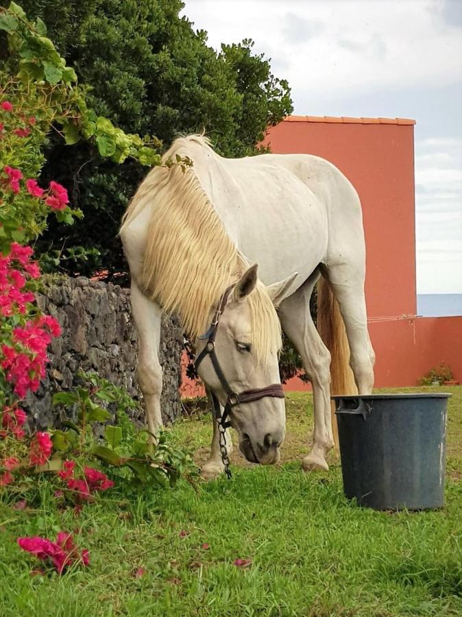 Quinta Da Falesia - Casa Branca Ponta Delgada Exterior foto